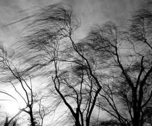 Bəzi rayonlarda güclü külək əsir - FAKTİKİ HAVA