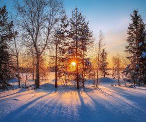 
Yanvarıda havanın temperaturu iqlim normasındanyuxarı olub