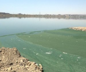 
Böyükşor gölünə tullantı suları axıdanlar barəsində inzibati protokol tərtib edilib