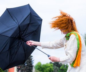 Bakıda küləyin sürəti 28 m/s təşkil edir - FAKTİKİ HAVA