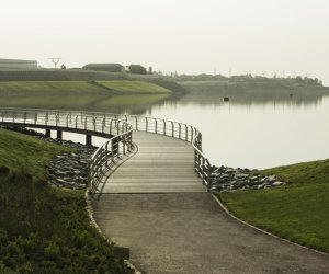Böyükşor gölündə yeni fekal çirklənmə aşkarlanmayıb