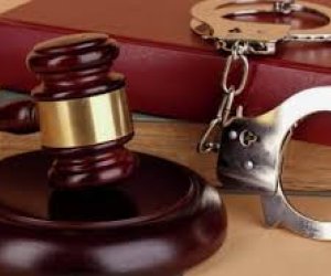 Bir gündə 58 cinayətin üstü açılıb - DİN