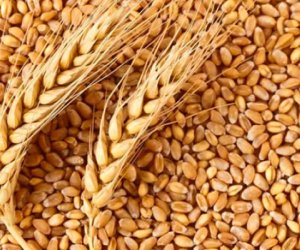 Russian Railways says grain shipments to Armenia via Azerbaijan become regular