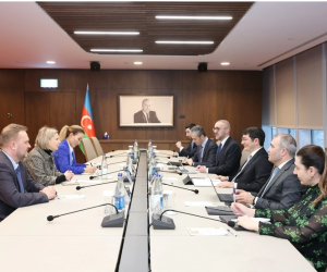 Azerbaijan and Microsoft Discuss Launch of Joint Digital Capability Center