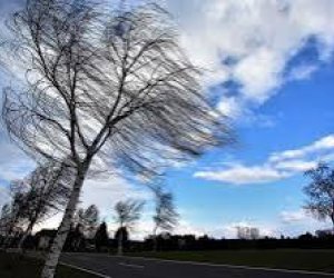 Синоптики предупредили об усилении ветра в Баку и регионах