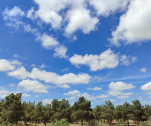 Sabah Bakıda 23 dərəcə isti olacaq