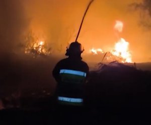 Yevlax-Bərdə avtomobil yolunun kənarında yanğın başlayıb