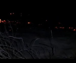 Beyləqanda kolluq sahədə başlayan yanğın meşə zolağına keçdi