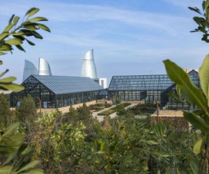 В Баку объединяют ботанический и дендрологический сады