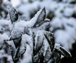 Dağlıq ərazilərdə qar yağacaq - Xəbərdarlıq