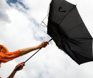 Погода на завтра