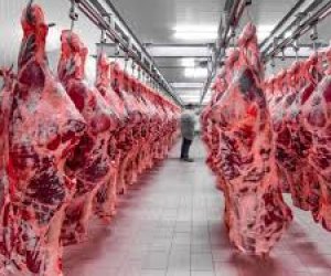 Azerbaijan reports slight rise in agricultural output in January 2026