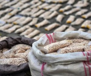 Ötən il bu qədər narkotik vasitə müsadirə edilib