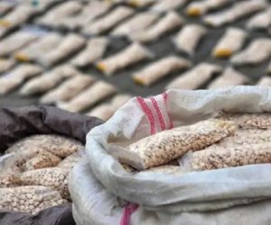 Azerbaijan seizes 11.5 tonnes of narcotics in 2025