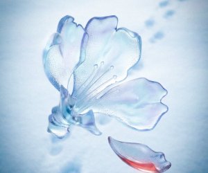 Prezident Xocalı Soyqırımı ilə bağlı paylaşım edib