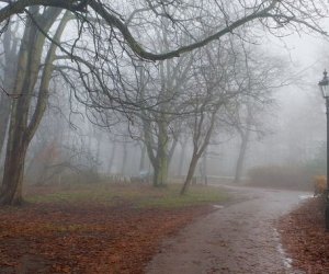 Sabah hava çiskinli olacaq - Proqnoz