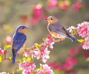 Martda hava necə olacaq?