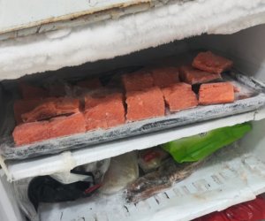 Bakıda suşi emalı müəssisəsinin fəaliyyəti müvəqqəti dayandırılıb