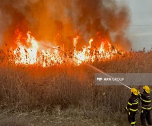 Ucarda açıq ərazidə yanğın olub