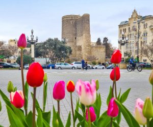 Martın ilk gününün hava proqnozu