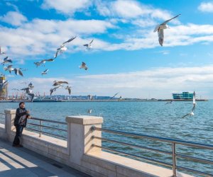 Fevralda maksimal temperatur 27 dərəcə olub