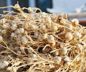 Üzərliklə bağlı daha bir qurumdan xəbərdarlıq