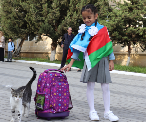 Ombudsman ibtidai siniflərin dərsi yükü ilə bağlı təkliflər verib