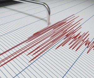 Earthquake strikes Iran