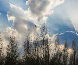 Sabahın hava proqnozu açıqlanıb