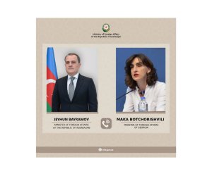 Gürcüstan XİN rəhbəri: İranın Naxçıvana dron hücumundan narahatıq