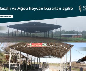 Masallı və Ağsuda heyvan bazarları açılıb
