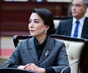 Заявление Сабины Алиевой в связи с атакой на Нахчыван