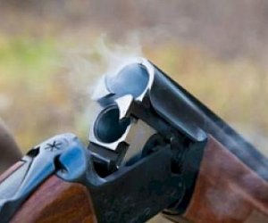 Masallıda tüfənglə insident törədən şəxs saxlanılıb