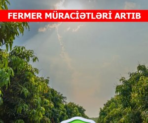 Azərbaycanda qeyri-sabit hava şəraiti aqrar sığorta müraciətlərini artırıb