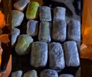 В Гяндже изъяли 27 кг героина на 1,6 млн манатов