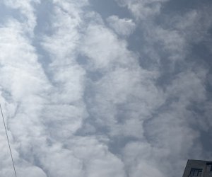 
Şənbə günü hava necə olacaq?