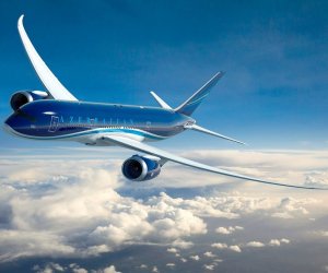 

AZAL увеличил перевозки грузов и багажа более чем на 50%
