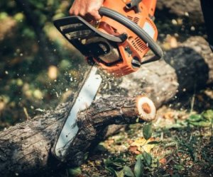 Son 1 həftədə təbiətə 73 mindən çox ziyan vurulub