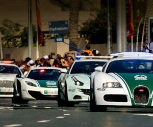 Массовые задержания в Абу-Даби