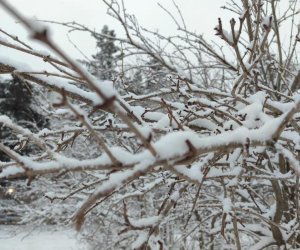 В регионах идут снег и дожди &mdash; ФАКТИЧЕСКАЯ ПОГОДА