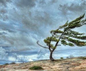 Güclü küləklə bağlı xəbərdarlıq edilib