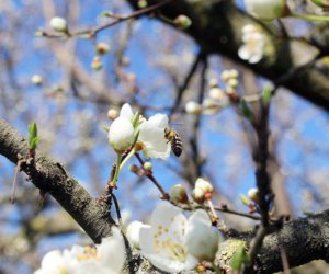 Sabahın hava proqnozu