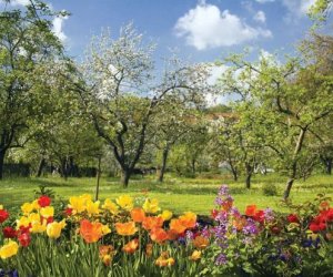 Azərbaycana yaz gəldi