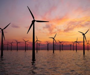 Azərbaycanda külək enerjisinin istehsalı 42 dəfəyə yaxın artıb