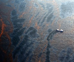 Более 400 тонн нефти собрали в море после разлива в Мексиканском заливе