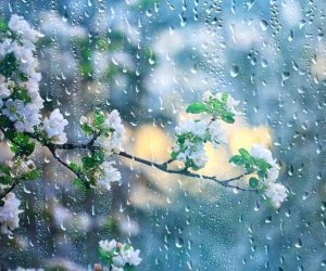 Sabahın hava proqnozu