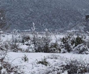 Şahdağ və Qrıza qar yağır - FAKTİKİ HAVA - YENİLƏNİB