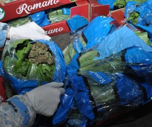 &ldquo;Biləsuvar&rdquo; gömrük postunda 56 kiloqramdan artıq narkotik vasitə aşkar edilib