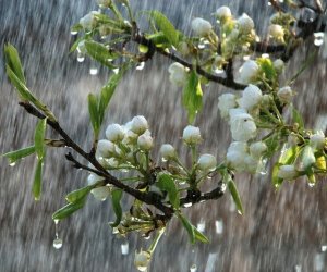 Sabahın hava proqnozu