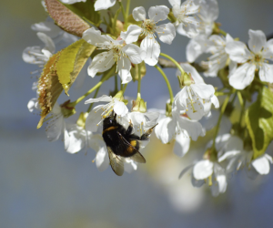 Sabahın hava proqnozu